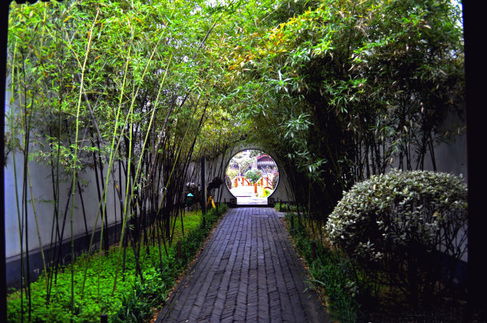 天朗资讯之竹林庭院